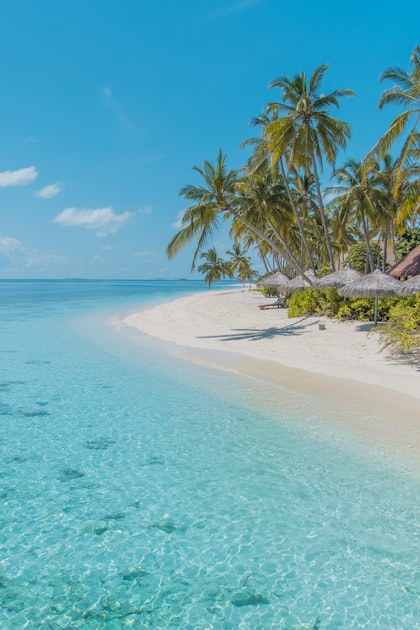 Costa Rica Travel Tips for First-Timers